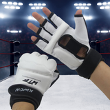 MMA-Go - ZEUS XI - MMA Boxing Gloves